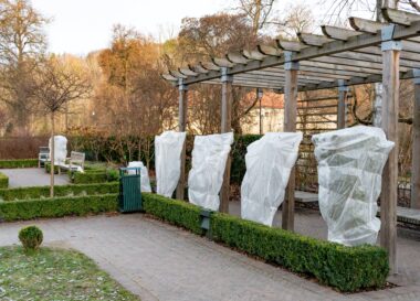 Vliesdoek in de tuin: zo bescherm je kwetsbare planten
